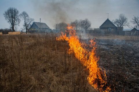 Пожар травы с гибелью в Горецком районе