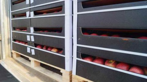 22 тонны яблок «для личного пользования» пытались контрабандой вывезти россияне