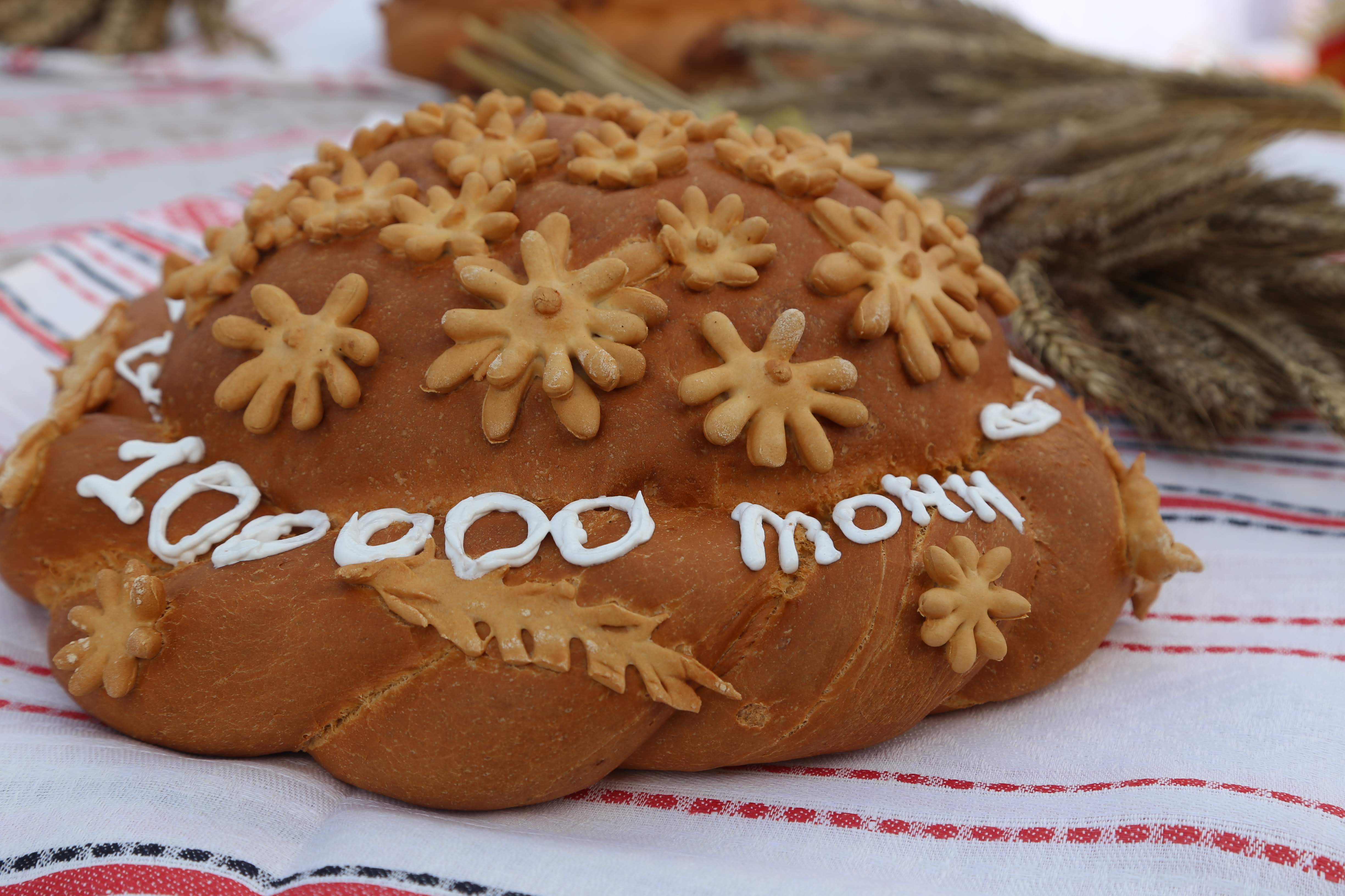 Общий вес хлебного каравая Могилевской области достиг миллиона тонн. Вклад Шкловщины - один из самых весомых